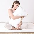 DREAMZEE 1000 GSM Microfiber Pillows Set of 1 (27x17 Inch) – Hotel Luxury Soft Gusseted Pillows for Side, Back & Stomach Sleepers – Fluffy & Supportive, Neck Shoulder Pain Relief (White & Beige)