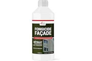 Anti-mousse, fongicide concentré anti dépôt vert, pour murs, façade, élimine aussi algues et lichens, 1 L (jusqu'à 250 m²) - ARCANE INDUSTRIES