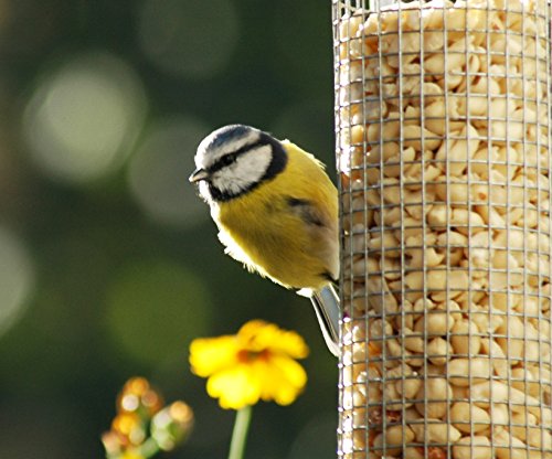 dobar 10041 Futterspender für Vögel mit Edelstahlgitter, Futterstation-Futtersäule für Wildvögel Anflugsringen, 14 x 14 x 26 cm, metall - 5