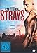 Produktbild Strays - Lebe dein Leben