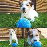 ❀ Mientras instale la batería, rodará. Es una pelota que puede jugar con mascotas y se puede limpiar.