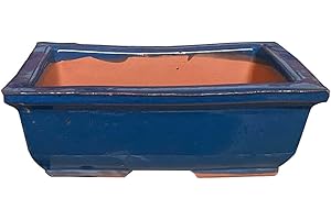 KORMAX Maceta bonsai ceramica azul n3 14x9 cm