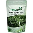 Super Napier Grass Seed High Yield Multi Cut Grass for Cattle (100 Gram)