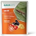 GAIAGEN Lures - Pheromone Lure for Tomato Leafminer (Tuta absoluta) | Pack of 10 | (Does not Include Traps)