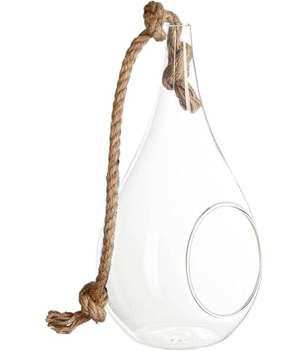 Vase En Verre Suspendu Forme Goutte D'eau – 26 Cm De Long – Verre Borosilicate Transparent – Pour Fleurs Coupées Ou Plantes Aquatiques