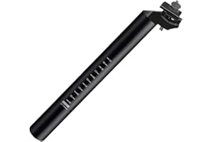 Harilla Tige de Selle de vélo, Composants de Remplacement, Tige de Selle Robuste, Longueur 300mm, Tube de Selle pour Faire du vélo de Montagne