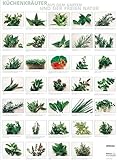 Image de Plakat Küchenkräuter aus dem Garten und der freien Natur