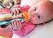 Thinkbaby – Bottle of Steel - Stainless Steel Baby Feeding Bottles - No BPA - 290ml (9oz)