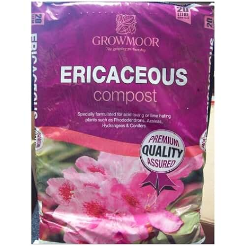 Amazon.co.uk azaleas compost
