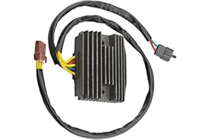 Riloer Regolatore di tensione Raddrizzatore Adatto per Pia-ggio XEvo 400 Beverly 400 GTS300 MP3 125RL Beverly 250 Cruiser Beverly 500 Tourer Xpress 300