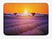 Produktbild Lavender Bath Mat, Idyllic Summer Sunset Landscape with Fresh Field and Trees Valensole France, Plush Bathroom Decor Mat with Non Slip Backing, 23.6 W X 15.7 W Inches, Lavander Orange