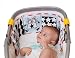 Taf Toys Clip On Pram Book