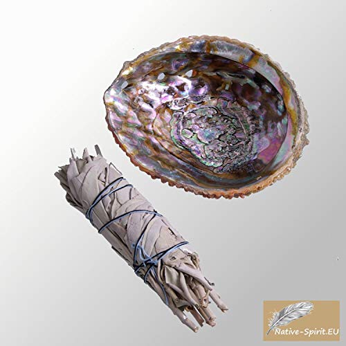 Set con bastoncini di salvia bianca per diffusione, di 13-15 cm, e con una conchiglia di Abalone, straordinariamente naturale, con interno lucido, di (4-5Inch) 11-13,5cm