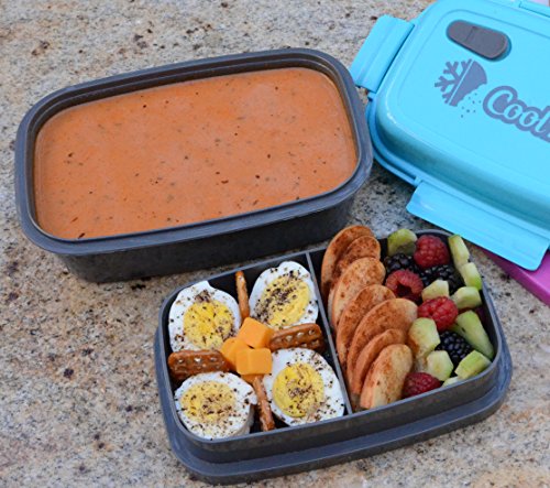 Coolbites Bento-Lunchboxen, brotdose Bento Mittagessen mit Eisbeutel – bis zu 4 Fächern – Für Kinder & Erwachsene – ideal für Zurück zu Shcool … - 2