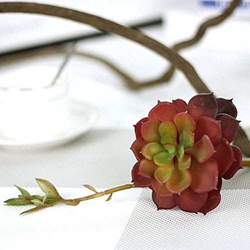 Huahjack 2Pcs/lot Succulent plants secunda Bonsai Home Rock Garden Plant Artificial Flower Simulation Landscape,Autumn Green