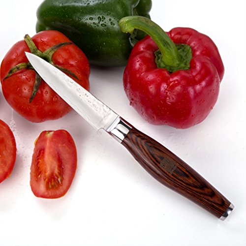 A.P. Donovan – Damast-Messer Küchenmesser Damastener Stahl Obstmesser Gemüsemesser Schälmesser Kochmesser 9cm – Pakkaholz - 4