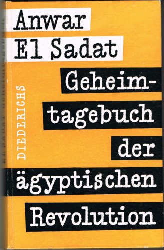 Geheimtagebuch der ägyptischen Revolution