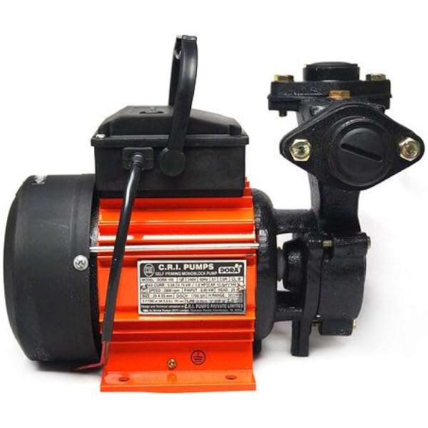 cri Dora 100 Copper Winded Water Pump 
