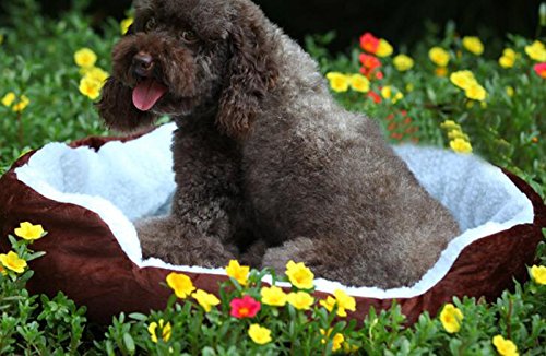 Zedo-Coton-Super-Doux-Nid-de-CompagnieNid-de-Lutte-litire-Chat-nid-Chiot-TeddyFournitures-pour-Animaux-dhiverBleu46-42cm