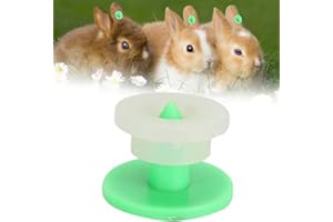 Qinlorgo Etiqueta de oído, Tarjeta de identificación del Animal doméstico Muestras plásticas del oído del Animal doméstico, número Seguro 100pcs del Marcador de la Etiqueta del oído de(Green)