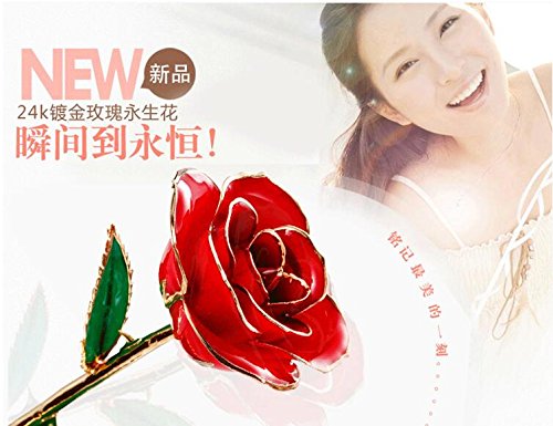 Itian 24K Gold Getauchte Echt Rote Rose, Liebe Geschenk für Ihre Freundin / Frau für Geburtstag, Weihnachten, Valentinstag Jahrestag (Rot) - 5