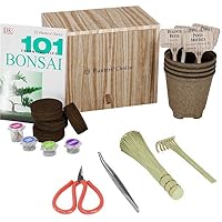 Amazon.es: Kits de cultivo en casa: Jardín
