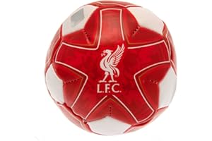 LIVERPOOL F.C. Liverpool FC Mini ballon de football