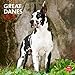 Great Danes 2013 - Dänische Doggen - Deutsche Doggen - Original BrownTrout-Kalender by BrownTrout-Kalender bei Stürtz