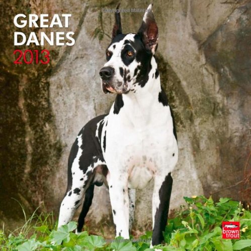 Great Danes 2013 - Dänische Doggen - Deutsche Doggen - Original BrownTrout-Kalender