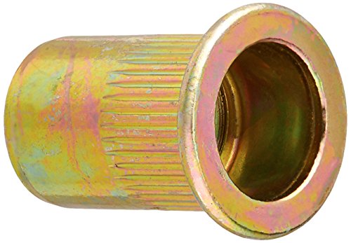 20 Stk. Flache Kopf metrisch Stahl M10 Blind einfügen Nietmutter Rivnut