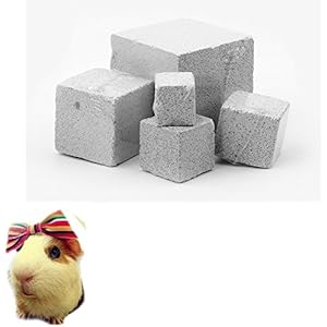 Fully 5tlg. Hamster Kleine Tier Zähne Schleifstein Block Spielzeug für Ratte Chinchillar Kaninchen