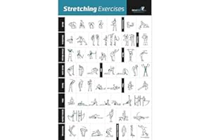 NEWME FITNESS Stretching Exercise Poster Laminated - Shows How to Stretch Specific Muscles for Your Workout - Home Gym Fitness Guide (18" x 27")
