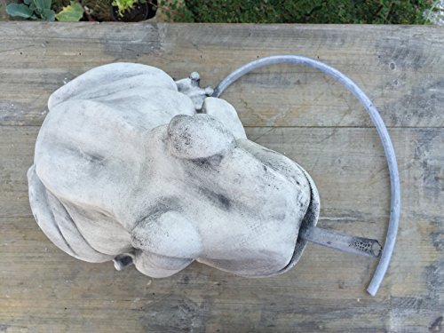 Steinfigur Teichfigur Wasserspeier Frosch Kröte Brunnen Deko Garten Teich 13 kg - 3