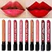 Waterproof Liquid Makeup Lip Pencil Matte Lipstick Lip Gloss Super Long Lasting 10#