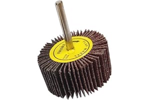 EISENWOLF Set Lamellenschleifer 40 mm x 30 mm 6 mm Griff Schleifköpfe für Bohrmaschinen Fächerschleifer Körnung 40- 120 wahlbar, für Metall und Holz (10, P40)