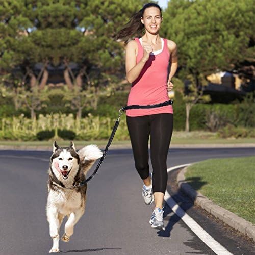 Dog Training Lead ,Topist Handsfree Dog Lead / Dog Walking Belt ,Shock Absorbing Lead and Adjustable Waist Belt,with Reflective Stitching ,Perfect for Running, Jogging, Hiking and Walking