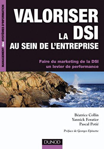 Valoriser la DSI au sein de l'entreprise : Faire du marketing de la DSI un levier de performance (Management des systèmes d'information) francais