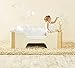 HelloHome POD Toddler Bed with Wooden Bird Toys , White