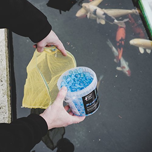 Starterbakterien (1 l) für Teich & Filter als biologische Gelkugeln mit langer Wirkungsdauer im Gartenteich – Filterbakterien Filterstarter – Teichbakterien Koiteich - 5