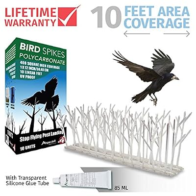 Aspectek Répulsif Pigeon Kit Pics Oiseaux en Plastique Transparents 10 x 30cm (3 m) Pour Oiseaux Gel dissuasif Transparent