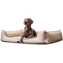 Comfy Line Hundebett Innen – Matratze Mit Abnehmbarem Bezug, Made In Italy, Geruchsabweisend