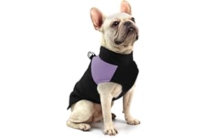 FEimaX Manteau pour Chien d'hiver Imperméable, Veste Chaude Vêtements pour Animal de Compagnie Petit Moyen Grand Chiens Chiot Gilet en Coton d'automne et Temps Froid