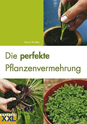 Preisvergleich Produktbild Die perfekte Pflanzenvermehrung