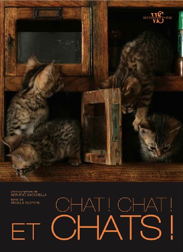 couverture de : Chat ! Chat et... chats !