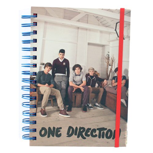 Preisvergleich Produktbild One Direction - Notizbuch Band 2 (in A5)