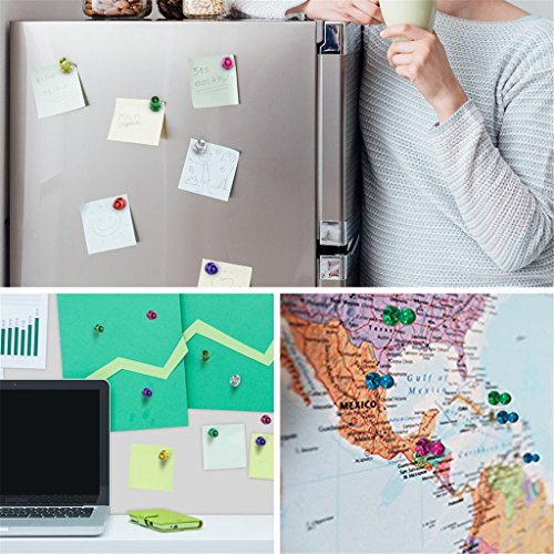 HMILYDYK 42  unidades magn  tico Push Pins       7  colores diferentes fuerte imanes de nevera para oficina pizarra tabl  n de anuncios  frigor  fico mapa