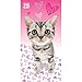 Produktbild Artlist Collection The Cat Katzen Strandtuch Badetuch 70 x 140cm