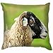 Produktbild Swaledale Ewe Female Sheep Head Shoulders Animals Wildlife Agriculture Parks Outdoor Throw Pillows Covers Accent Home Sofa Cushion Cover Pillowcase Gift Decorative 18X18 Inch