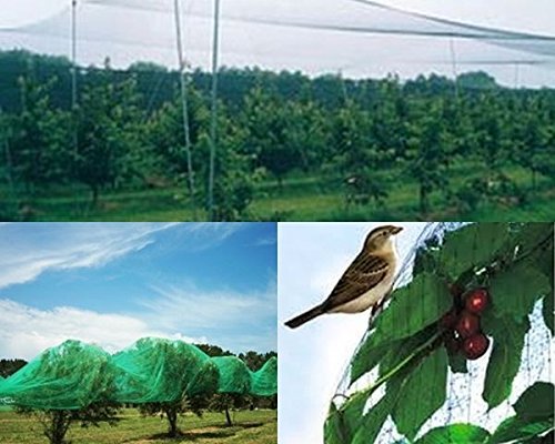 Vogelschutznetz Laubnetz Gartennetz Teichnetz Pflanzenschutznetz 14 Größen (8×14 m) - 4