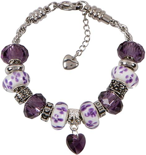Timeline Treasures February Birthstone Charm Bracelet With European Bead Charms For Women and Girls, Stainless Steel Rope Chain, Harmony 18cm